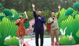 今日关注东莞爆料视频最新,揭秘视频背后的惊人真相