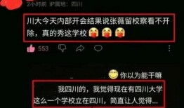 川大事件最新爆料,最新爆料揭露惊人内幕！”